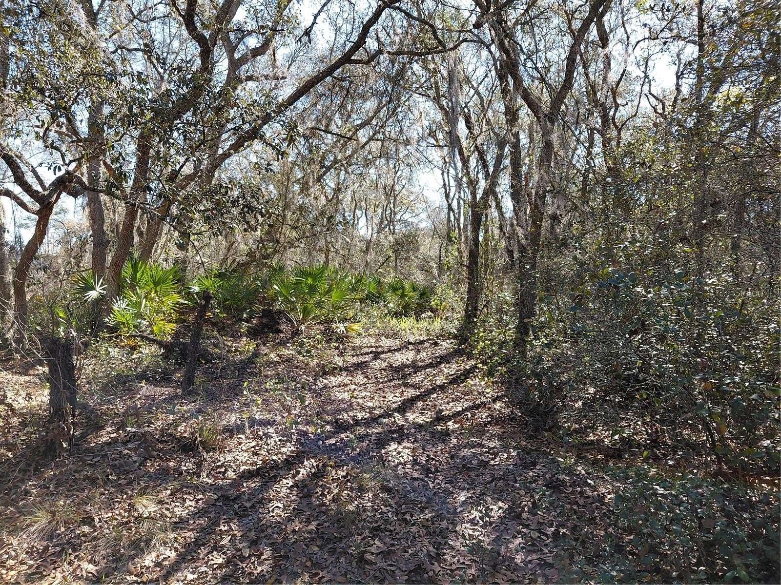 1.16 Acres of Residential Land for Sale in Webster, Florida