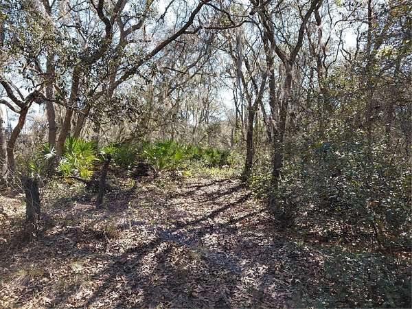 1.16 Acres of Residential Land for Sale in Webster, Florida