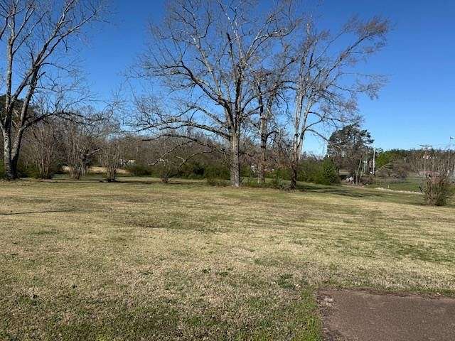 3 Acres of Mixed-Use Land for Sale in Savannah, Tennessee