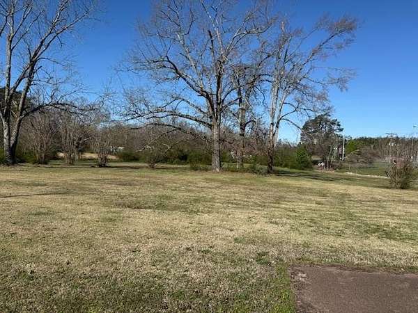 3 Acres of Mixed-Use Land for Sale in Savannah, Tennessee