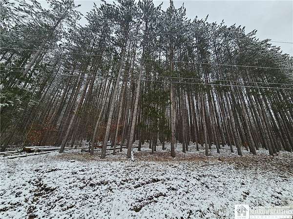 11.3 Acres of Recreational & Residential Land for Sale in Portville, New York