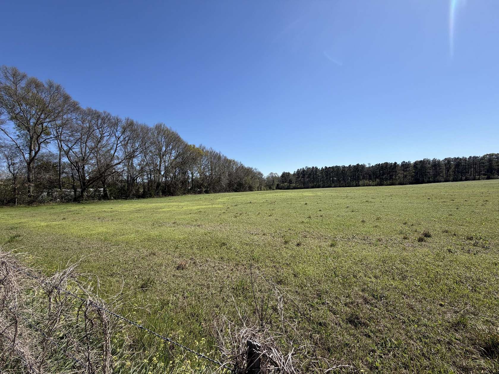 11.3 Acres of Land for Sale in Perkinston, Mississippi