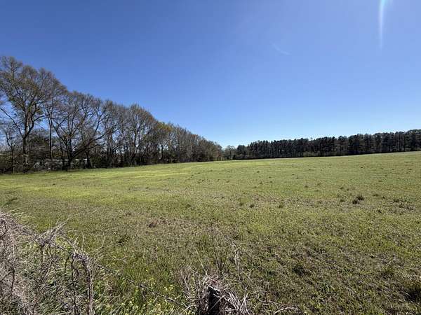 11.3 Acres of Land for Sale in Perkinston, Mississippi