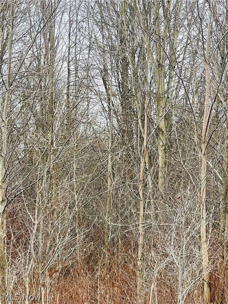 5.36 Acres of Residential Land for Sale in Orwell, Ohio