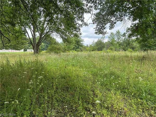 15 Acres of Recreational & Residential Land for Sale in Orwell, Ohio