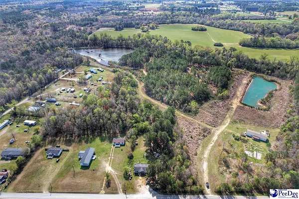 125 Acres of Recreational & Residential Land for Sale in Dillon, South Carolina