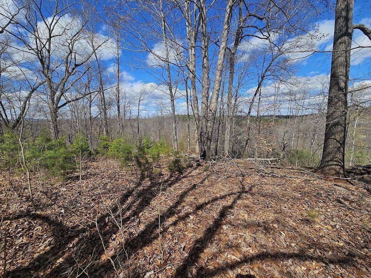 1.48 Acres of Residential Land for Sale in Goodview, Virginia