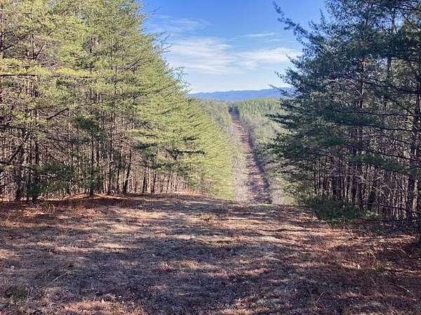 482 Acres of Land for Sale in Eagle Rock, Virginia