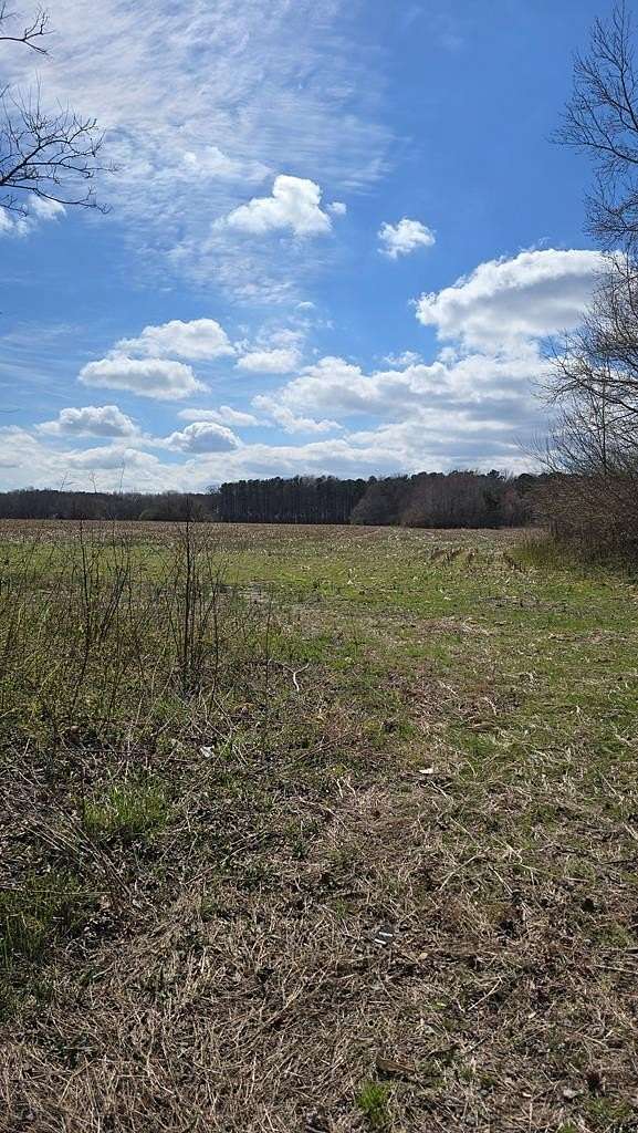 58.8 Acres of Land for Sale in Parksley, Virginia