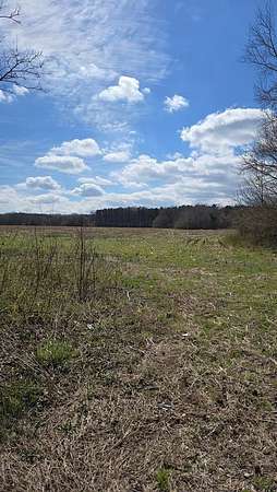 58.8 Acres of Land for Sale in Parksley, Virginia