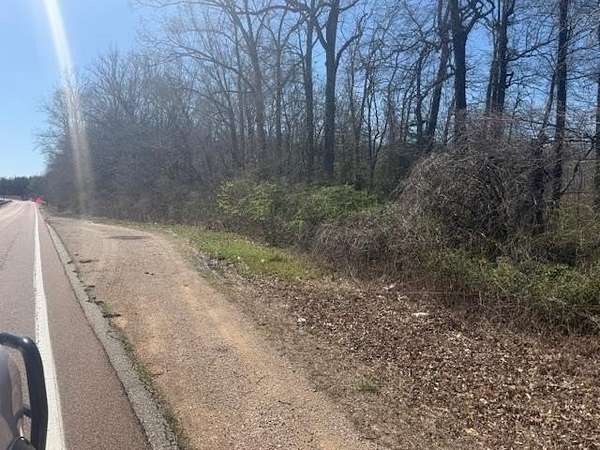 11.9 Acres of Recreational Land for Sale in Jacks Creek, Tennessee