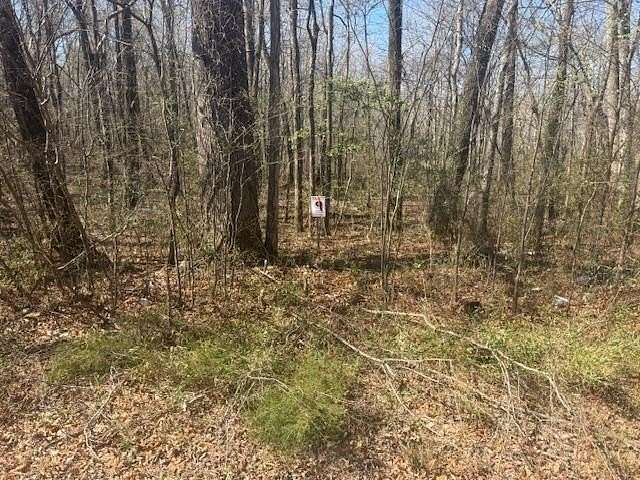 13.4 Acres of Recreational Land for Sale in Jacks Creek, Tennessee