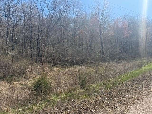 26.3 Acres of Recreational Land for Sale in Jacks Creek, Tennessee