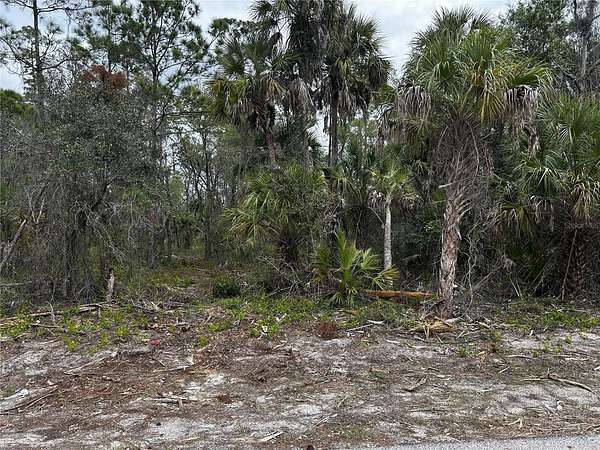 0.23 Acres of Residential Land for Sale in Port Charlotte, Florida