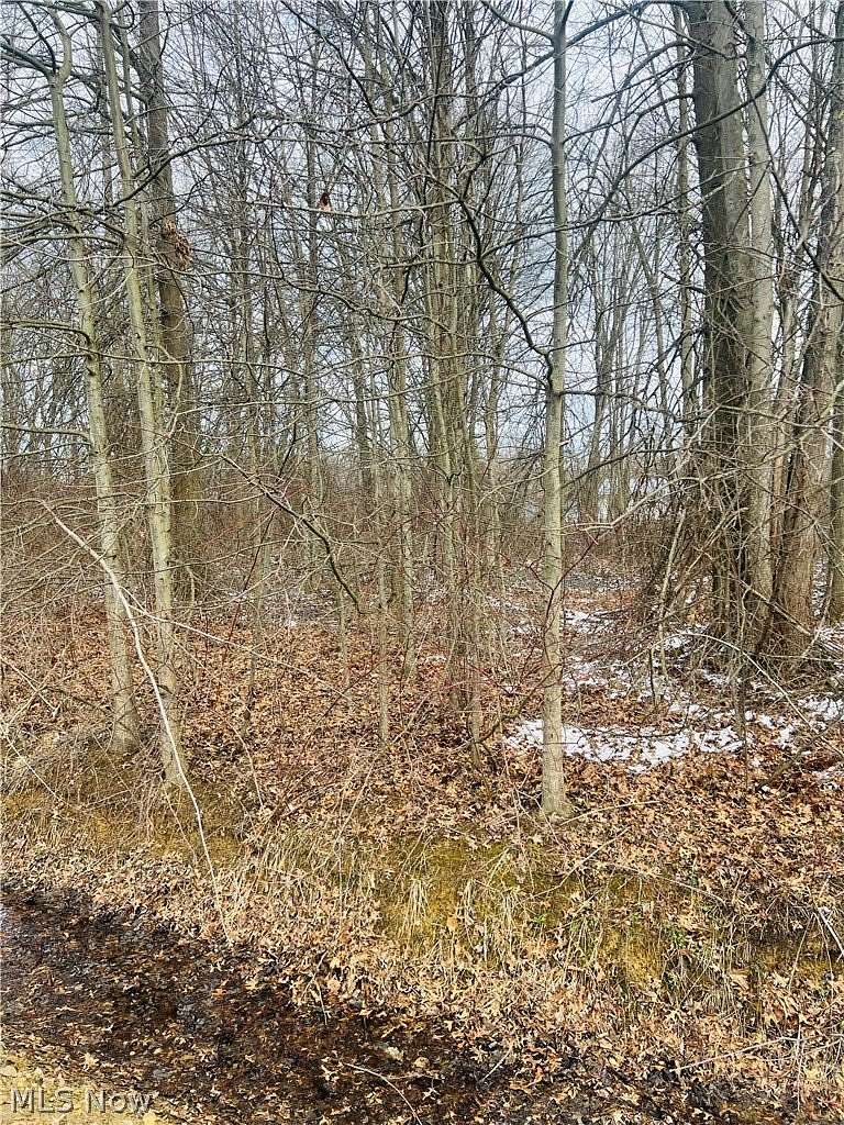 0.46 Acres of Residential Land for Sale in Orwell, Ohio