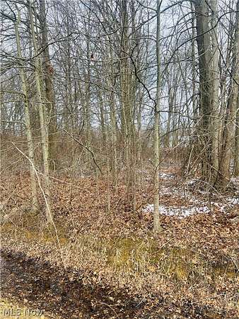 0.46 Acres of Residential Land for Sale in Orwell, Ohio