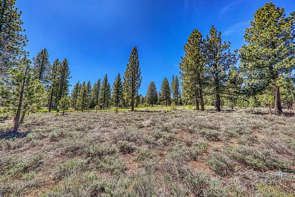 Residential Land for Sale in Truckee, California