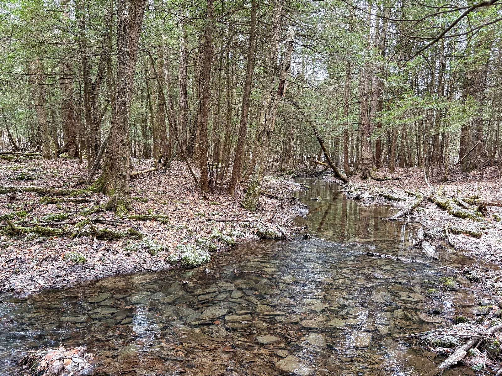 25.2 Acres of Recreational Land for Sale in Nineveh, New York