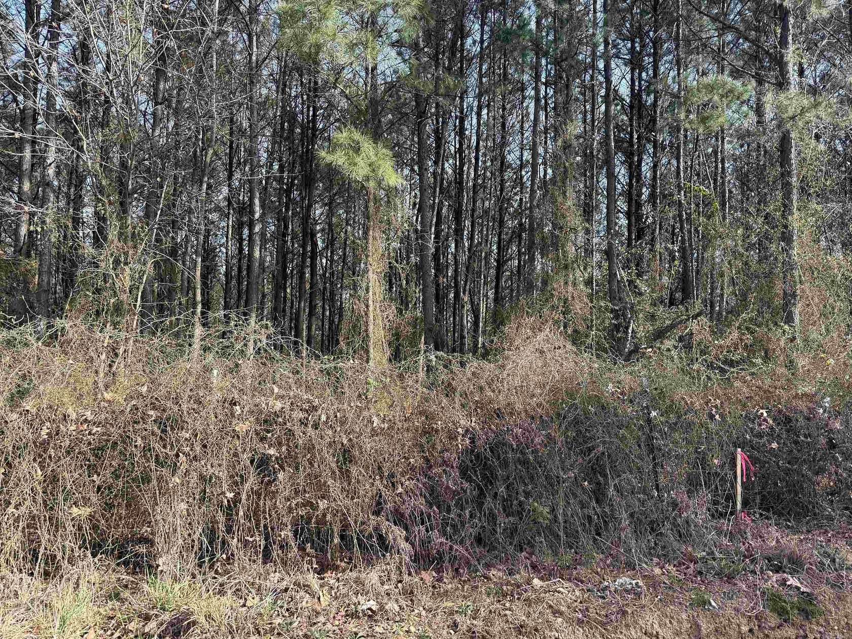 3 Acres of Land for Sale in Wickes, Arkansas