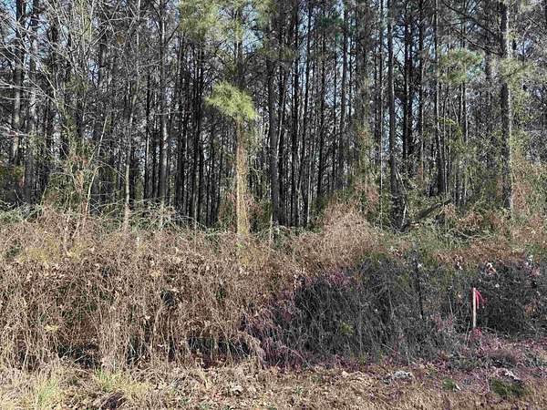 3 Acres of Land for Sale in Wickes, Arkansas