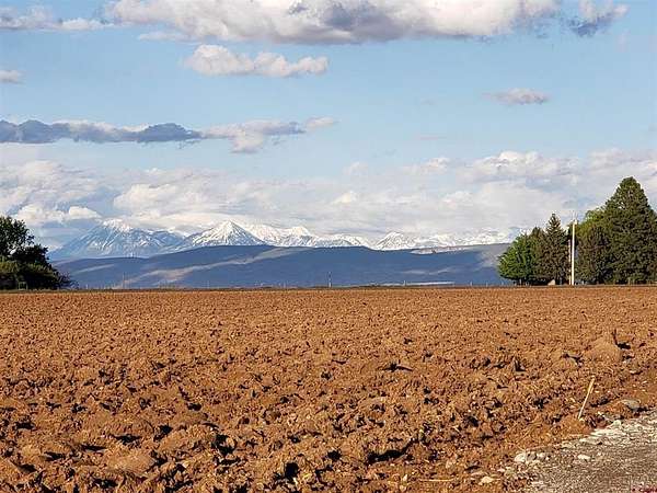 57.6 Acres of Land for Sale in Olathe, Colorado