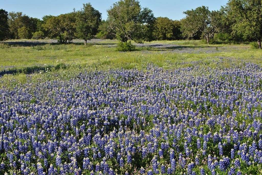 51 Acres of Recreational Land with Home for Sale in Fredonia, Texas