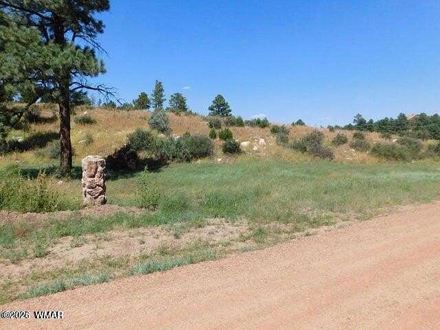 0.6 Acres of Residential Land for Sale in Overgaard, Arizona