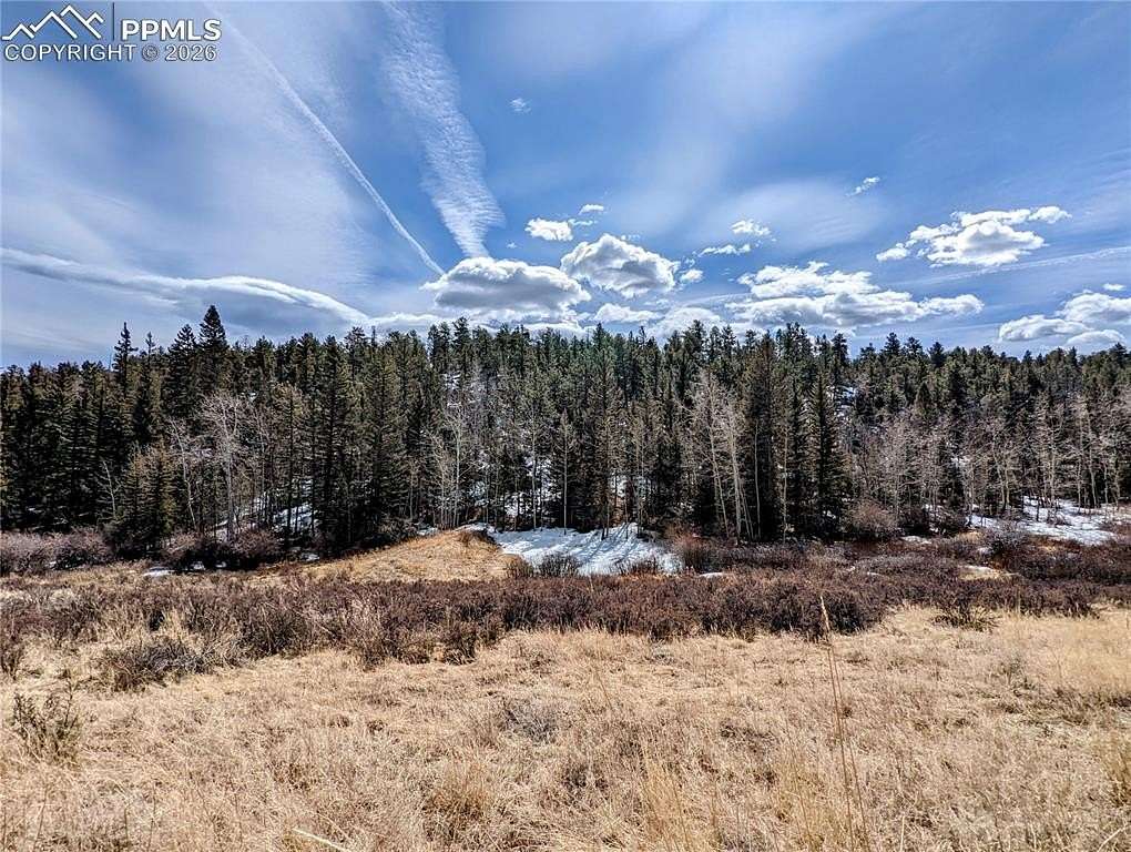 5 Acres of Residential Land for Sale in Guffey, Colorado