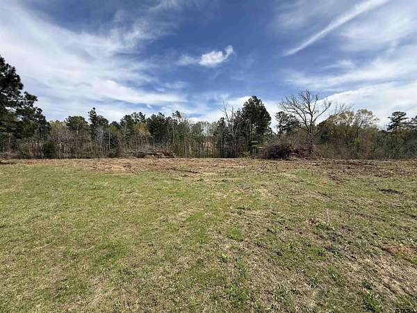 153 Acres of Recreational & Residential Land for Sale in Jacksonville, Texas