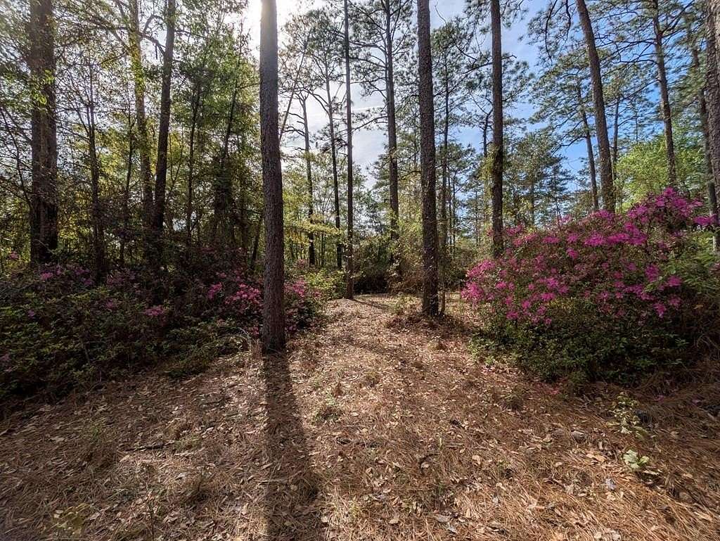 1.89 Acres of Residential Land for Sale in Thomasville, Georgia