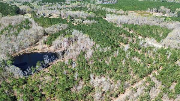 77 Acres of Recreational & Residential Land for Sale in Mount Croghan, South Carolina