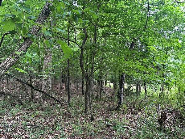 0.64 Acres of Land for Sale in Lowell, Arkansas