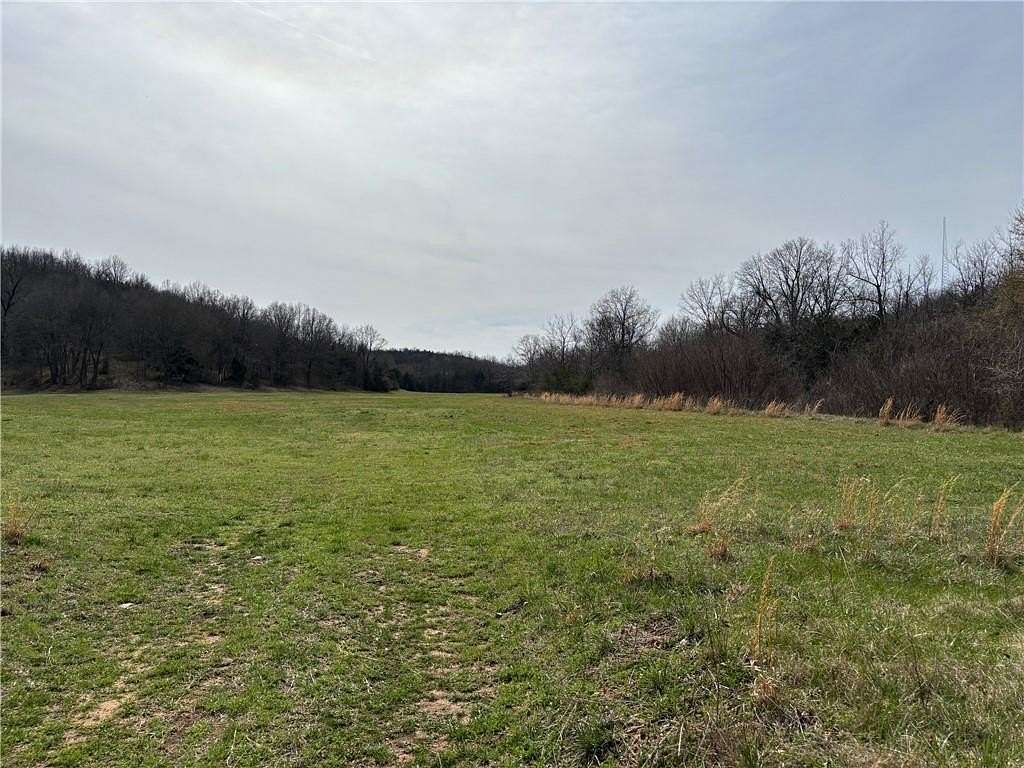 98.6 Acres of Recreational Land for Sale in Bruno, Arkansas