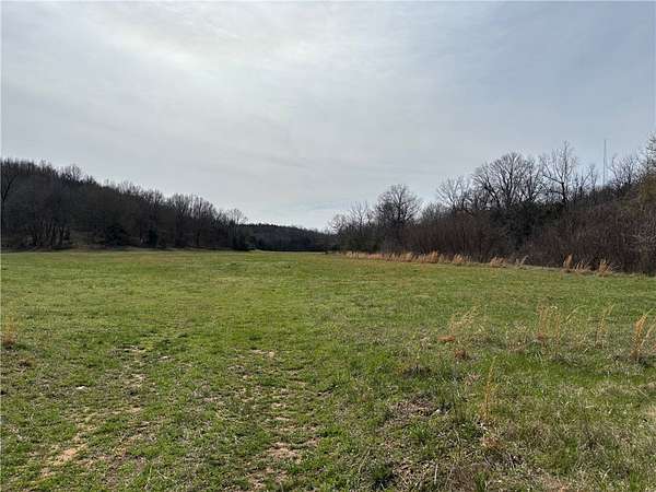 98.6 Acres of Recreational Land for Sale in Bruno, Arkansas