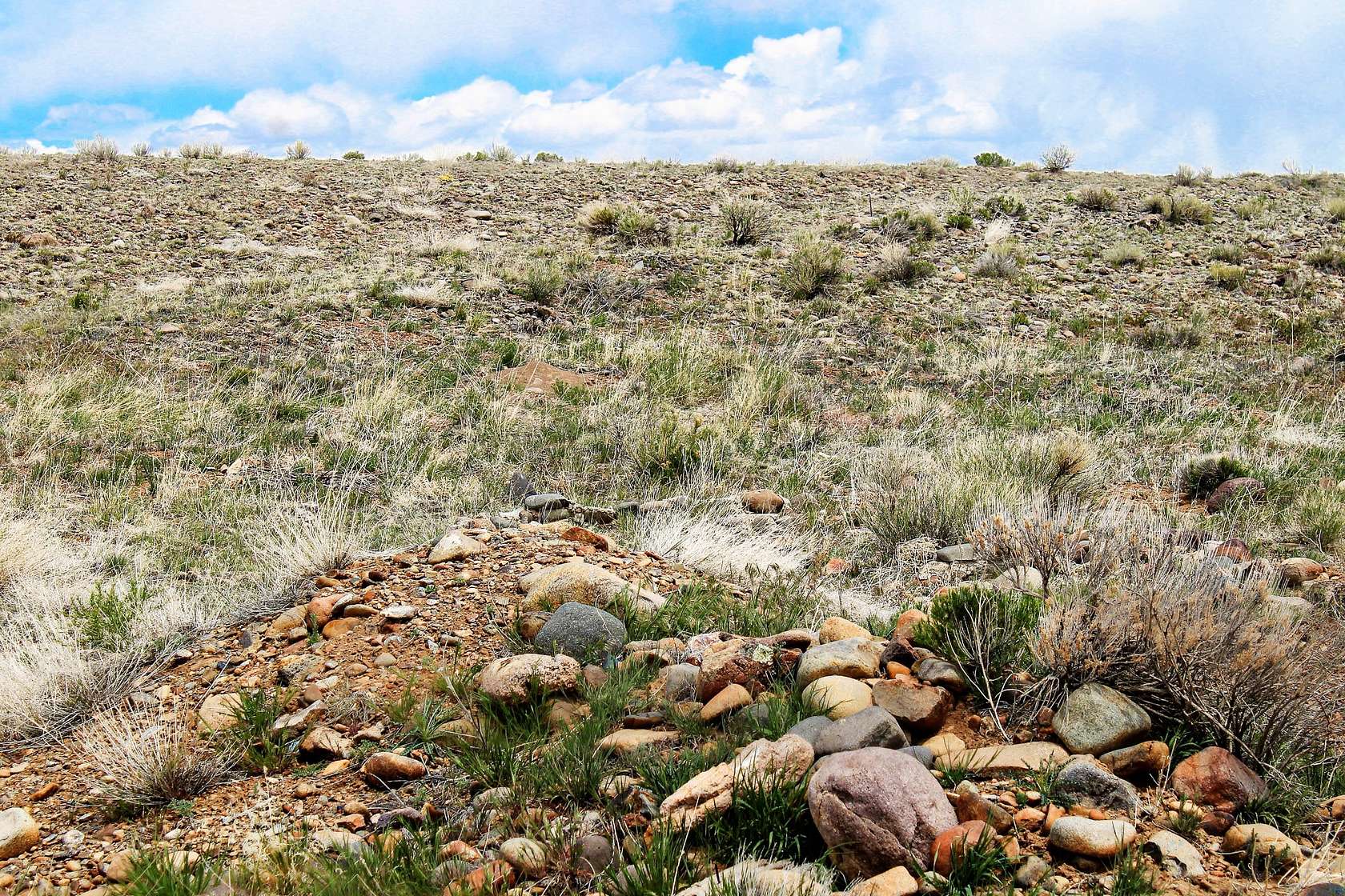 0.19 Acres of Residential Land for Sale in La Jara, Colorado