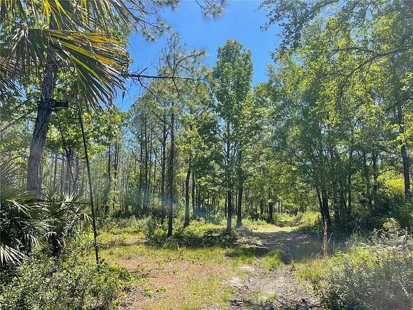 4.74 Acres of Residential Land for Sale in Mims, Florida