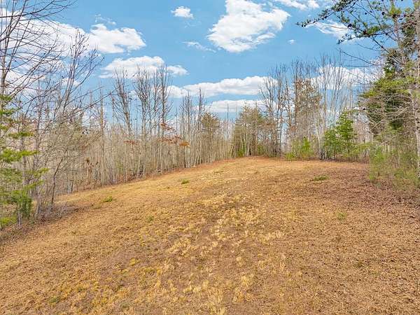 14.5 Acres of Recreational & Residential Land for Sale in Grandview, Tennessee