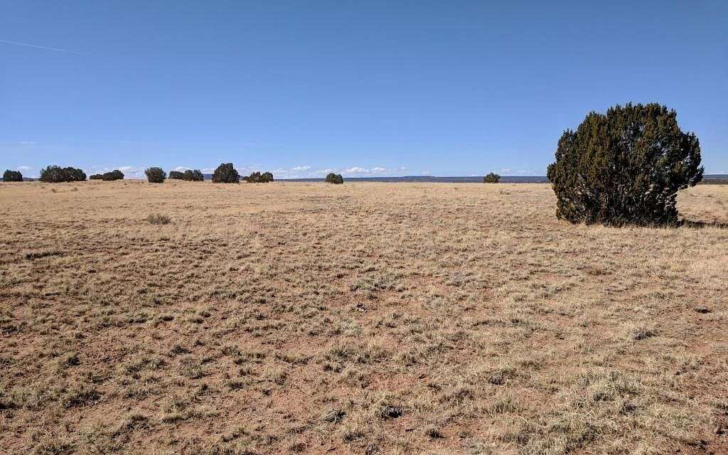 2 Acres of Residential Land for Sale in Concho, Arizona