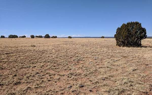 2 Acres of Residential Land for Sale in Concho, Arizona