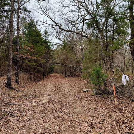 46.6 Acres of Recreational Land for Sale in De Kalb, Texas