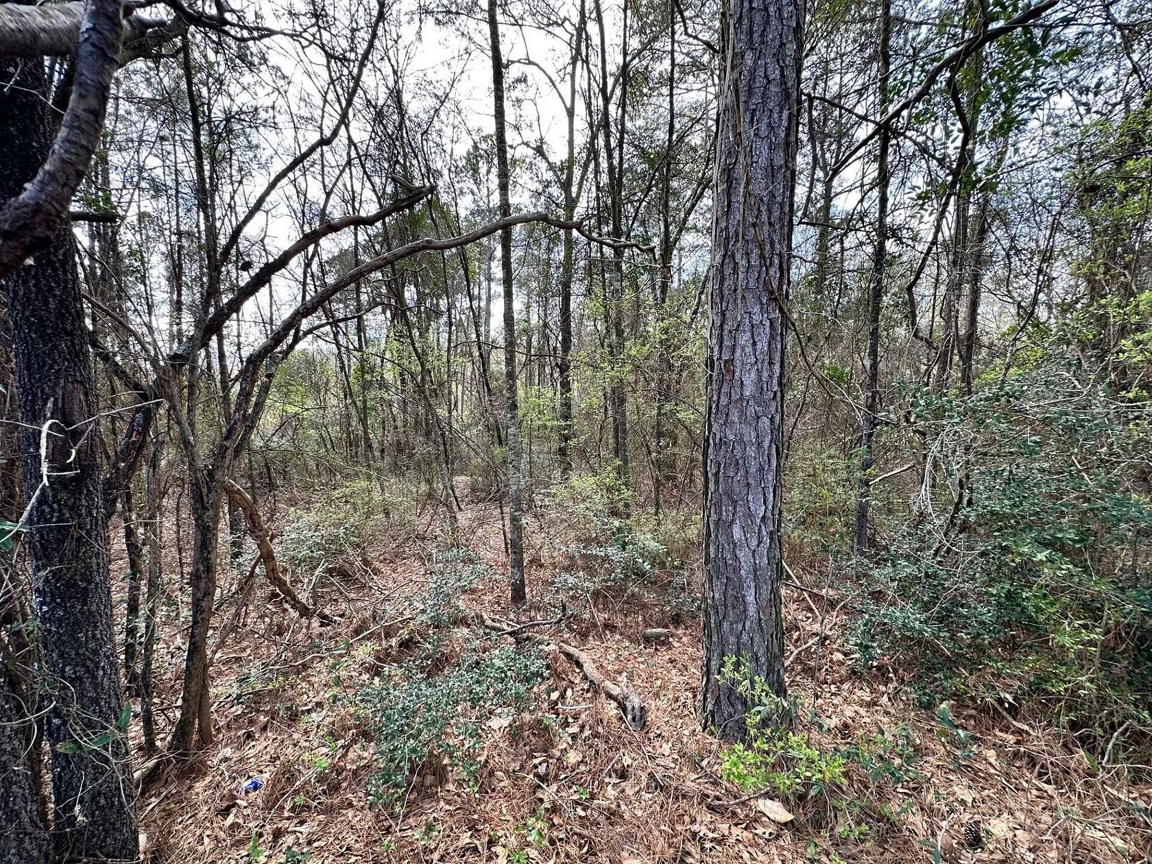 3 Acres of Residential Land for Sale in Ellisville, Mississippi