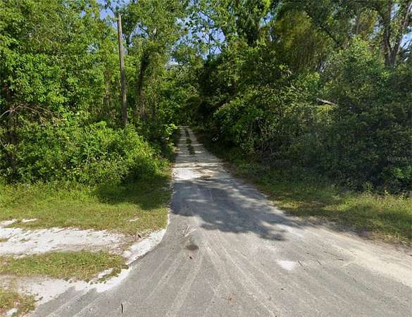 0.29 Acres of Land for Sale in Mayo, Florida