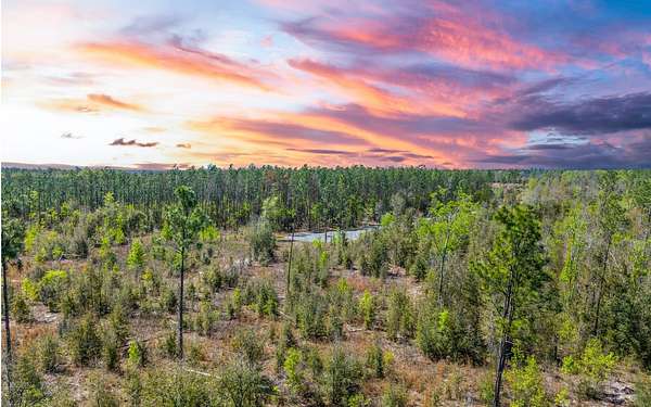 5 Acres of Residential Land for Sale in Live Oak, Florida