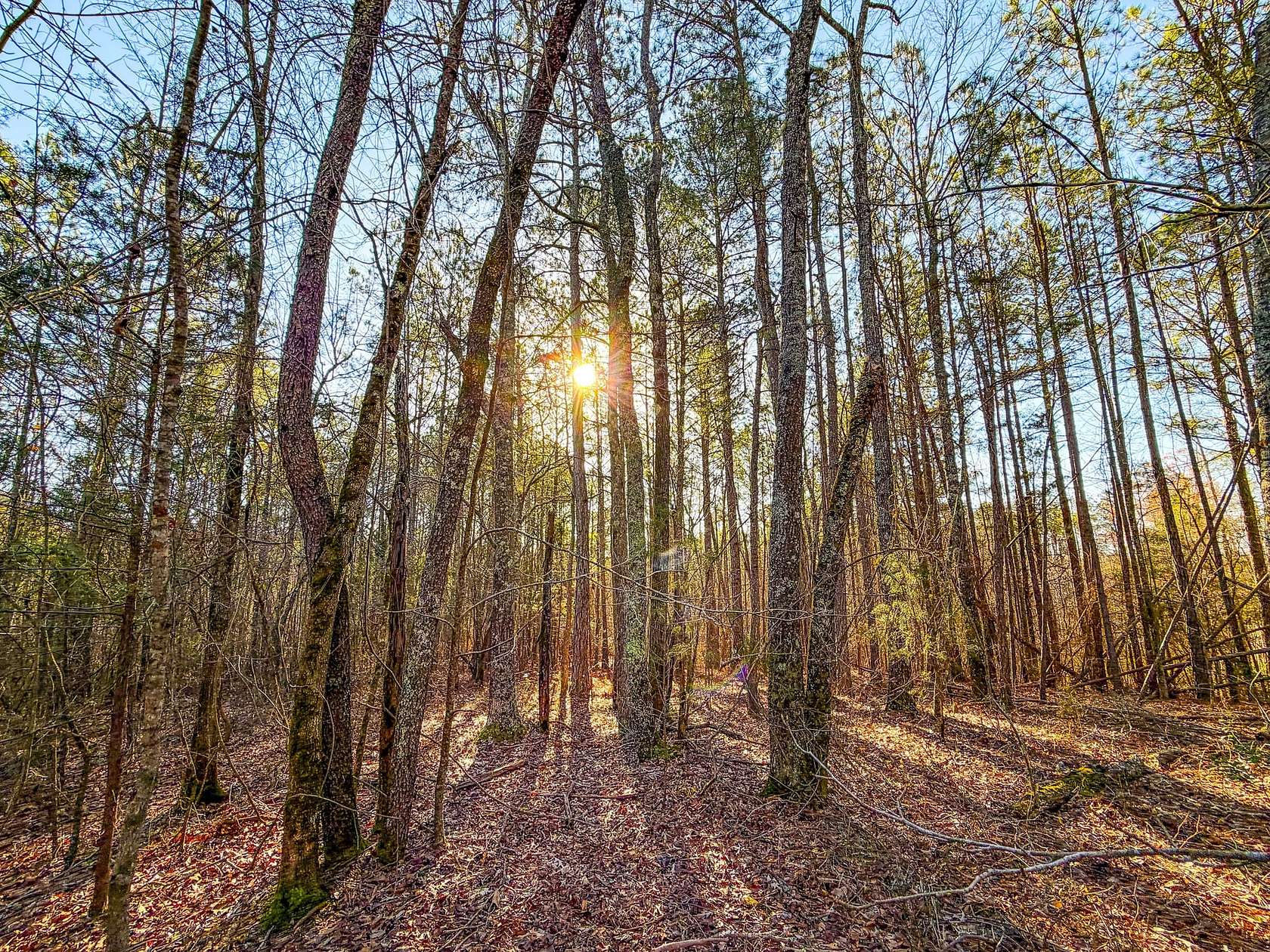 7 Acres of Land for Sale in Lineville, Alabama