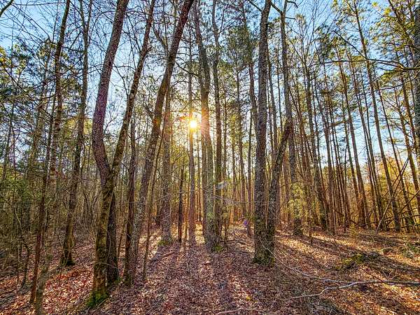 7 Acres of Land for Sale in Lineville, Alabama