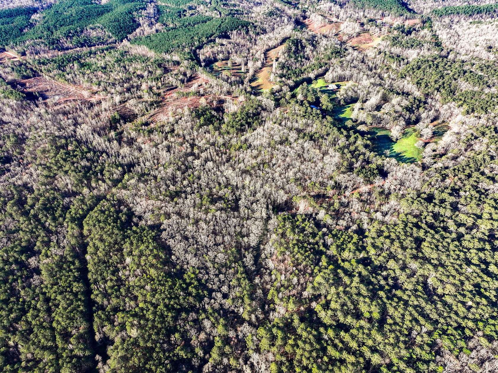 20 Acres of Recreational & Residential Land for Sale in Lineville, Alabama