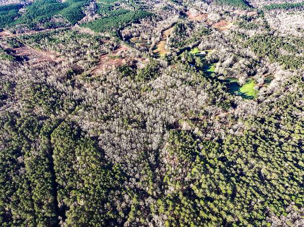 20 Acres of Recreational & Residential Land for Sale in Lineville, Alabama