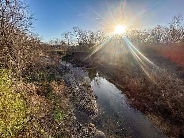 40.4 Acres of Recreational Land for Sale in Honey Grove, Texas