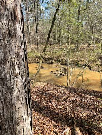 40 Acres of Recreational Land for Sale in Roberta, Georgia