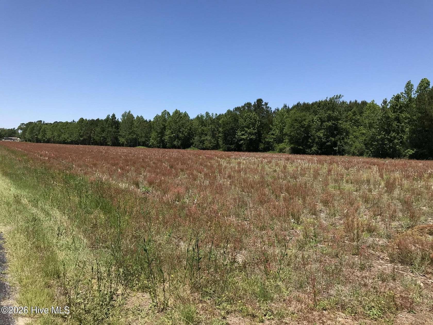 19.5 Acres of Recreational & Residential Land for Sale in Ash, North Carolina